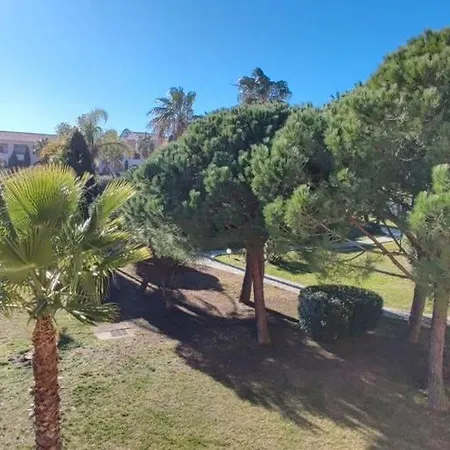 Appartement T3 Marine De Bravone Proche *